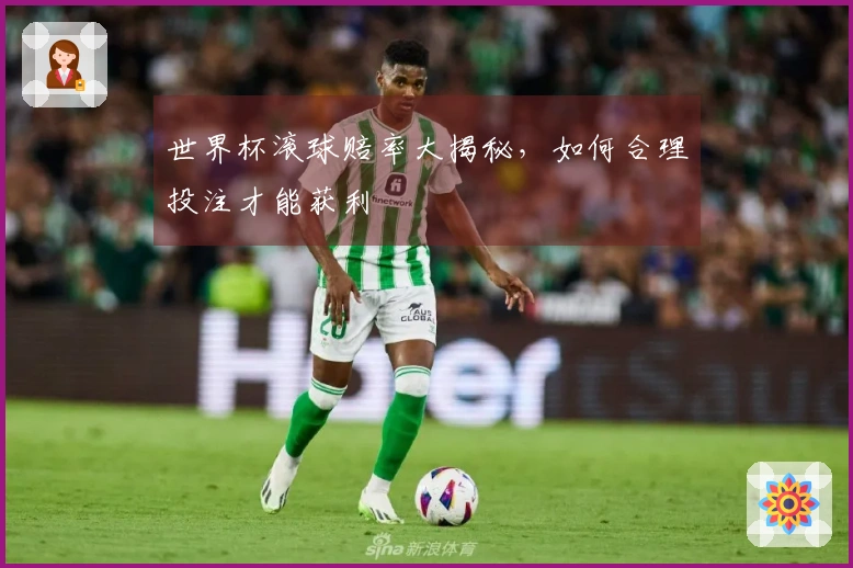 世界杯滚球赔率大揭秘，如何合理投注才能获利