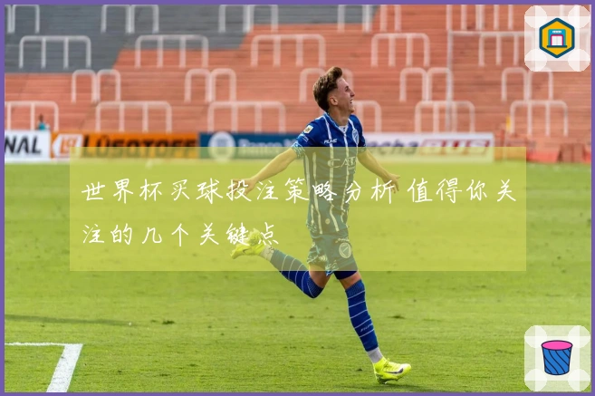 世界杯买球投注策略分析 值得你关注的几个关键点