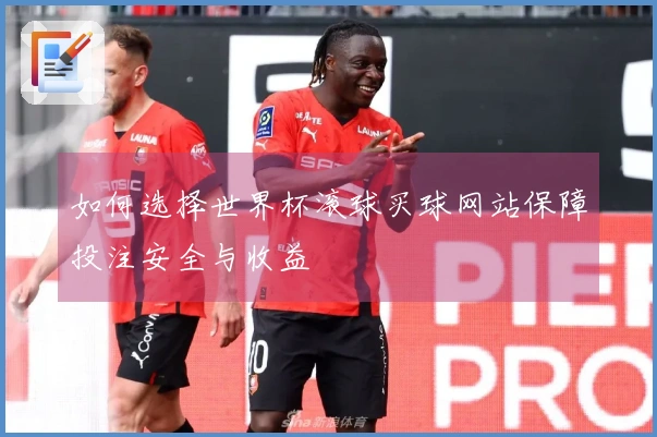 如何选择世界杯滚球买球网站保障投注安全与收益