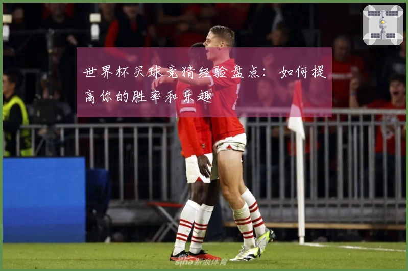 世界杯买球竞猜经验盘点：如何提高你的胜率和乐趣
