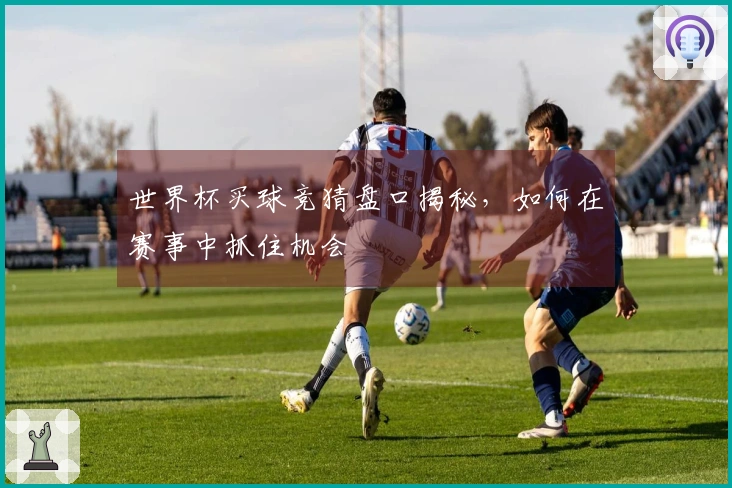 世界杯买球竞猜盘口揭秘，如何在赛事中抓住机会