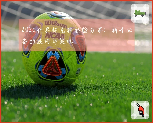 2026世界杯竞猜经验分享：新手必备的技巧与策略