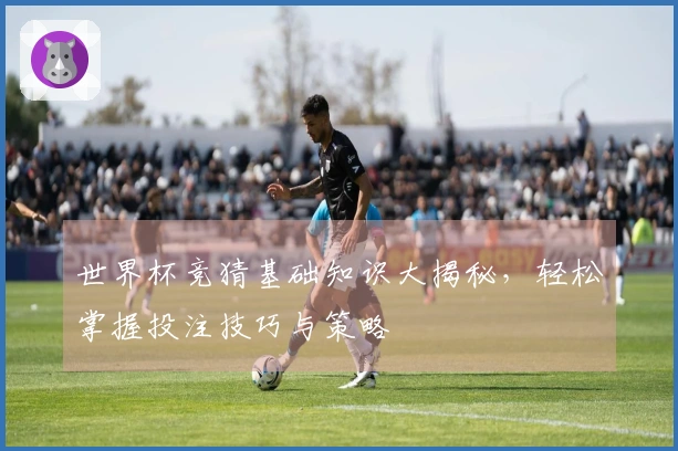 世界杯竞猜基础知识大揭秘，轻松掌握投注技巧与策略