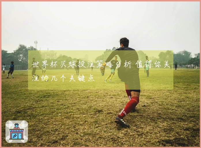 世界杯买球投注策略分析 值得你关注的几个关键点