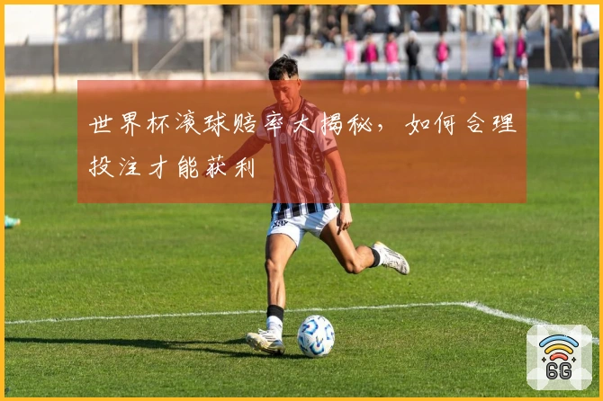 世界杯滚球赔率大揭秘，如何合理投注才能获利