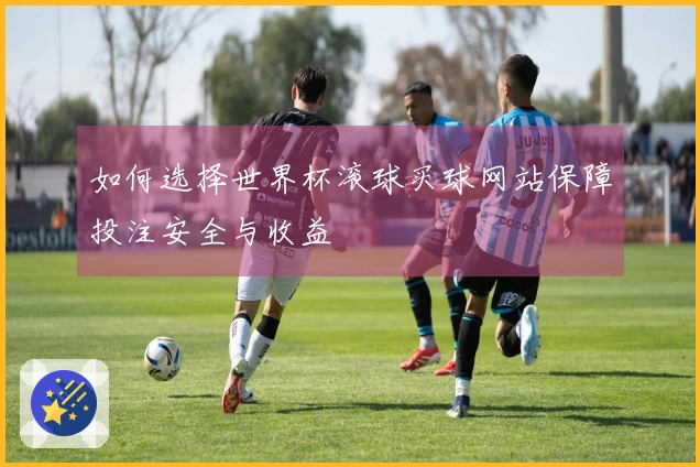 如何选择世界杯滚球买球网站保障投注安全与收益
