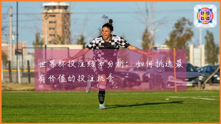 世界杯投注赔率分析：如何挑选最有价值的投注机会