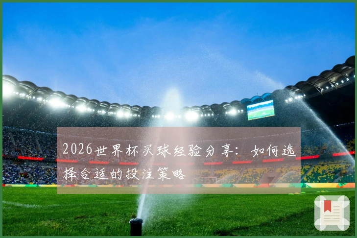 2026世界杯买球经验分享：如何选择合适的投注策略