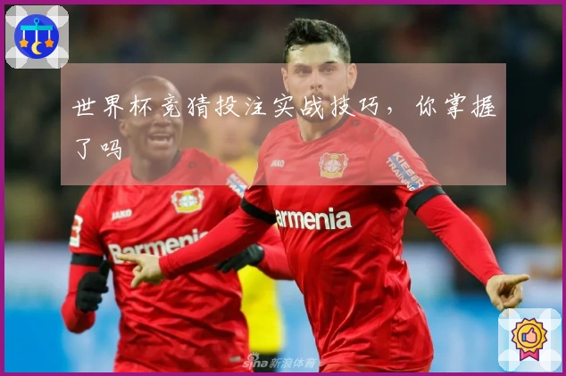 世界杯竞猜投注实战技巧，你掌握了吗