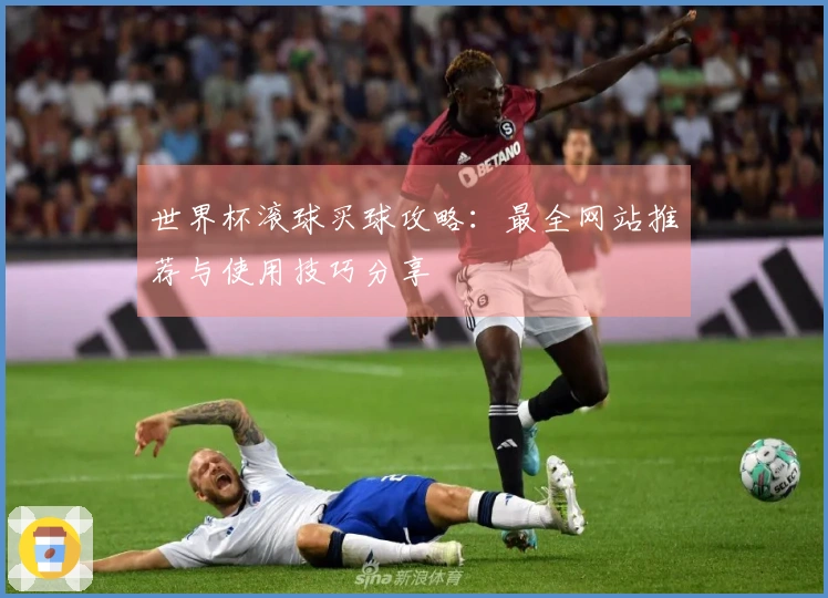 世界杯滚球买球攻略：最全网站推荐与使用技巧分享