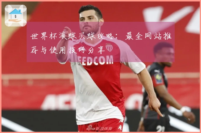 世界杯滚球买球攻略：最全网站推荐与使用技巧分享