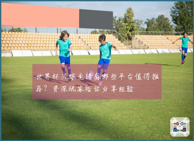 世界杯买球竞猜有哪些平台值得推荐？资深玩家给你分享经验