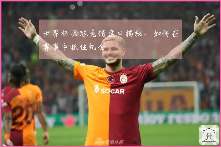 世界杯买球竞猜盘口揭秘，如何在赛事中抓住机会