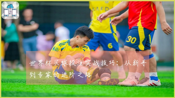 世界杯买球投注实战技巧：从新手到专家的进阶之路
