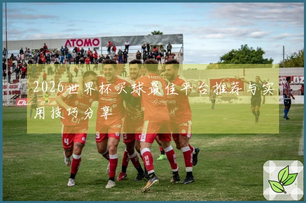 2026世界杯买球最佳平台推荐与实用技巧分享